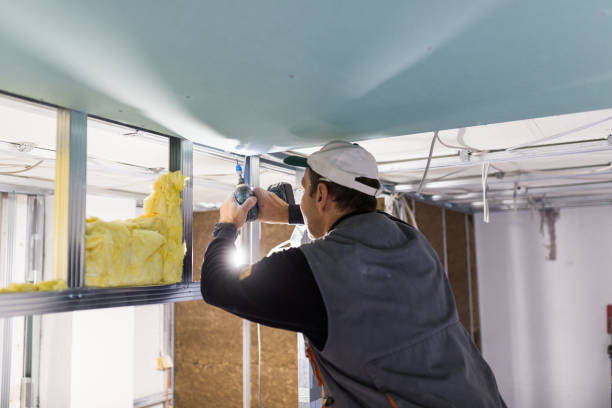 Types of Insulation We Offer in Mayflower Village, CA